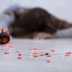 samoubistvo, suicid, depresija, zavisnost, alkohol, droga, anksioznost, bol, patnja, prevencija, samoubilačke misli, pokušaj samoubistva